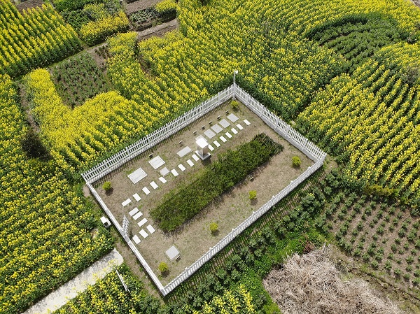 僅需2周，水質就穩(wěn)定達標！這種一體化生活污水處理設備供不應求